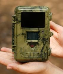Scoutguard sg560K invisible covert trail camera